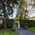 Arbutus tree service provides superior hedge reduction, restructuring and trimming services