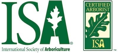 Arbutus Tree Service Employs International Society of Arboriculture (ISA) Certified Arborists